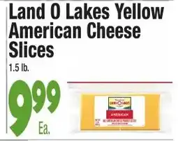 King Kullen Land O Lakes Yellow American Cheese Slices offer