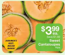 Fairway Store Market Sweet Cantaloupes offer
