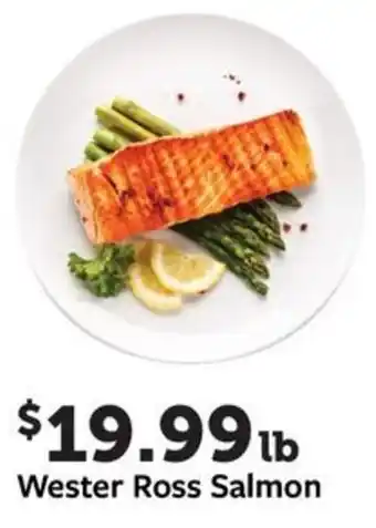 Wester Ross Salmon