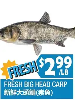 99 Ranch Fresh Big Head Carp offer
