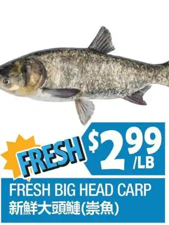 99 Ranch Fresh Big Head Carp offer