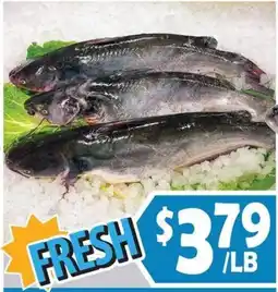 99 Ranch Fresh Catfish offer