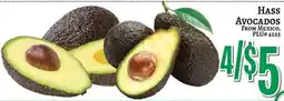 Trade Fair Supermarket Hass avocados offer