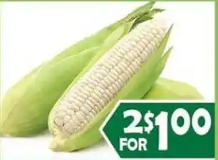 Corn