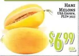 Trade Fair Supermarket Hami Melons offer