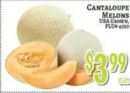 Trade Fair Supermarket Cantaloupe Melons offer
