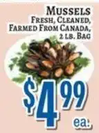 Trade Fair Supermarket Mussels offer