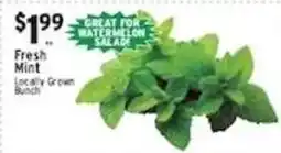 Met Foodmarkets Fresh Mint offer