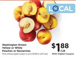 Fred Meyer Washington Grown Yellow or White Peaches or Nectarines offer