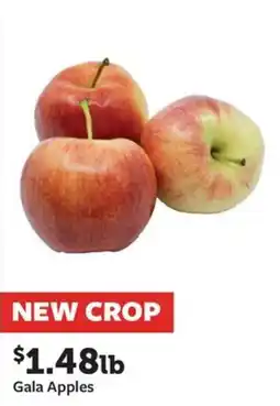Fareway Gala Apples offer