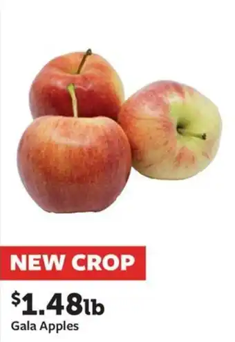 Fareway Gala Apples offer