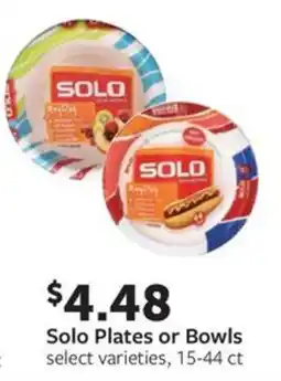Fareway Solo Plates or Bowls offer