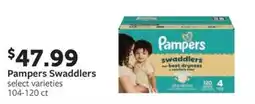 Fareway Pampers Swaddlers offer