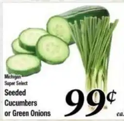 Ferndale Foods Michigan Super Select Seeded Cucumbers or Green Onions offer