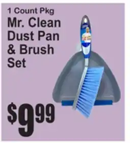 SuperFresh Mr. Clean Dust Pan & Brush Set offer