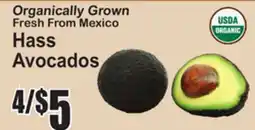 SuperFresh Hass Avocados offer
