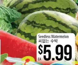 Hmart Seedless Watermelon offer