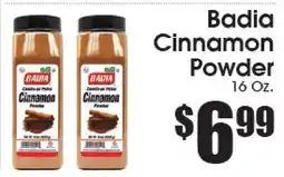 Supremo Foods Inc Badia Cinnamon Powder offer