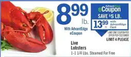 Price Chopper Live Lobsters offer