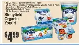 Key Food Stonyfield Organic Yogurt offer