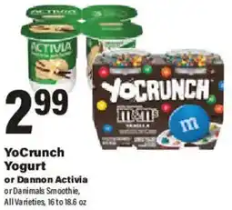 Big Y YoCrunch Yogurt offer