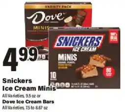 Big Y Snickers Ice Cream Minis offer