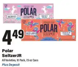 Big Y Polar Seltzer JR offer