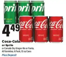 Big Y Coca-Cola or Sprite offer