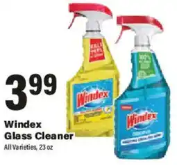 Big Y Windex Glass Cleaner offer