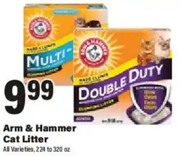 Big Y Arm & Hammer Cat Litter offer