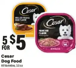 Big Y Cesar Dog Food offer