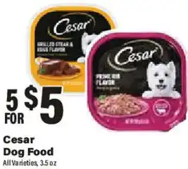 Big Y Cesar Dog Food offer