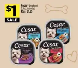 Dollar General Cesar Dog Food offer