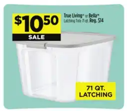 Dollar General True Living or Bella Latching Tote offer