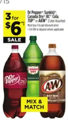 Dollar General Dr Pepper Sunkist Canada Dry RC Cola, 7UP or A&W 2 Liter Assorted offer