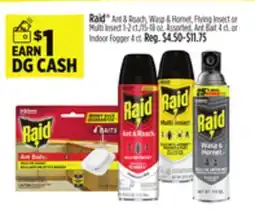Dollar General Raid Ant & Roach, Wasp & Hornet, Flying Insect or Multi Insect offer