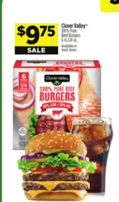 Dollar General Clover Valley 100% Pure Beef Burgers offer