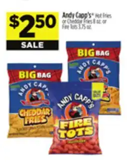 Dollar General Andy Capp's Hot Fries or Cheddar Fries offer