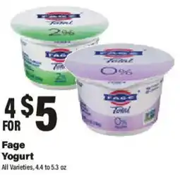 Big Y Fage Yogurt offer