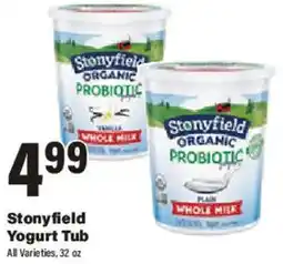 Big Y Stonyfield Yogurt Tub offer