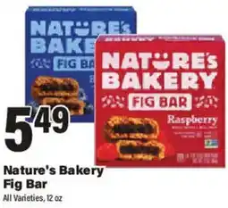 Big Y Nature's Bakery Fig Bar offer