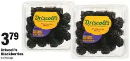 Big Y Driscoll's Blackberries offer