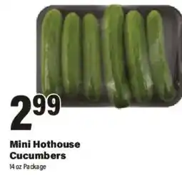 Big Y Mini Hothouse Cucumbers offer