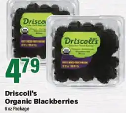 Big Y Driscoll's Organic Blackberries offer
