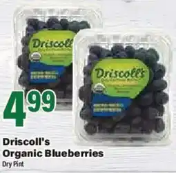Big Y Driscoll's Organic Blueberries offer