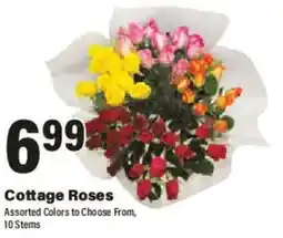 Big Y Cottage Roses offer
