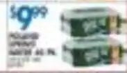 Met Foodmarkets Polar Spring Water 46 Fl Oz offer