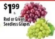 Pioneer Supermarkets Red or Green Seedless Grapes offer