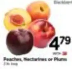Tops Peaches, Nectarines or Plums offer
