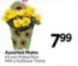 Tops Assorted Mums offer
